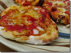 ピザ窯のピサ