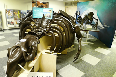 札幌海牛